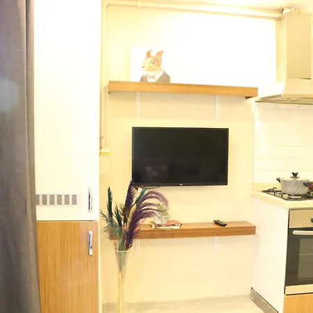 The 酒店