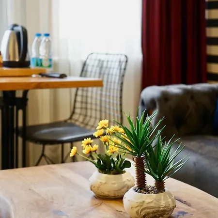 The Chinese Beijing Downtown Park Hotel 4*
