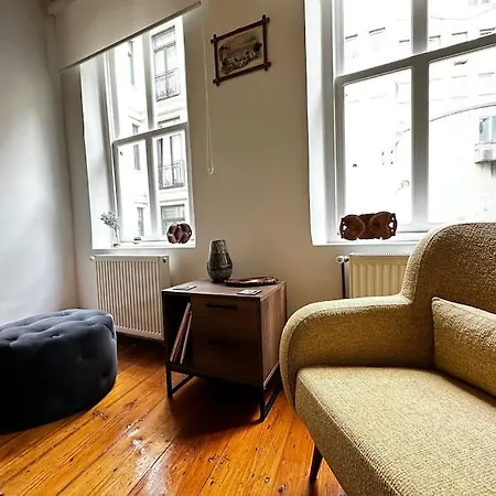 Historical Flat In Galata - Tatar Beyi Street 아파트