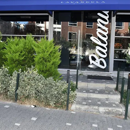 מלון Levent Lavandula 3*
