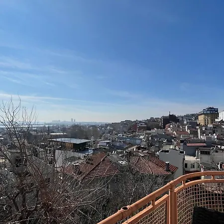 Tulip House 3*