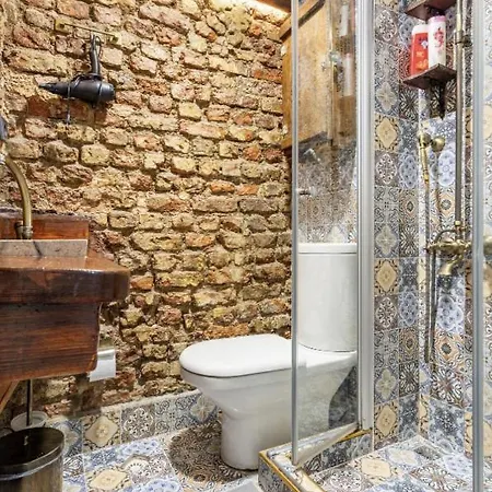 House Of Soul & Triplex With A Winter Garden Hébergement de vacances Istambul