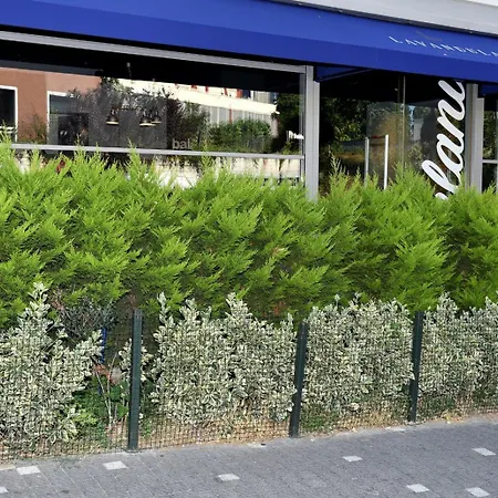 Levent Lavandula