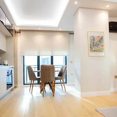 Apartman Mayer Skycon In Besiktas 2 *