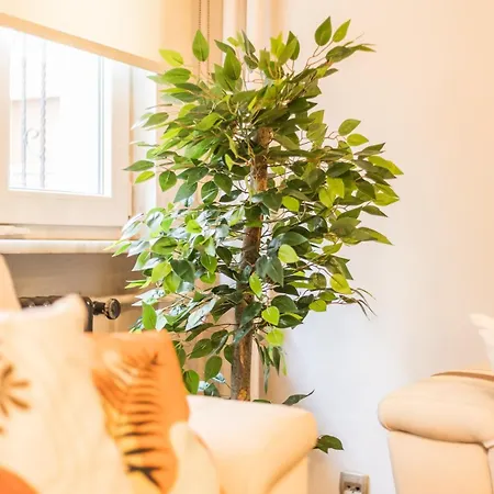 Apartment Stylish 1br Near Taksim & Bosphorus W Great Design