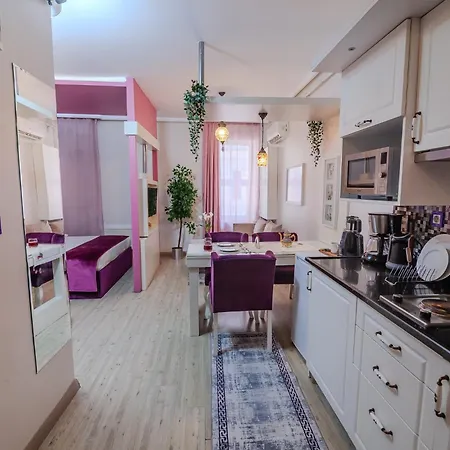 Taksim Nil 公寓式酒店 伊斯坦布尔