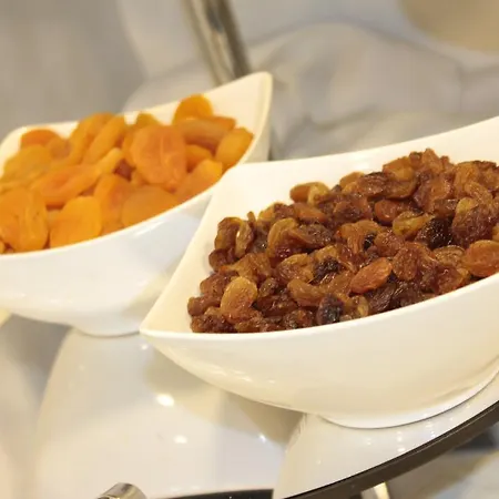 Otel Osaka Airport 3*