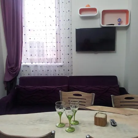 Nelly Guest house *