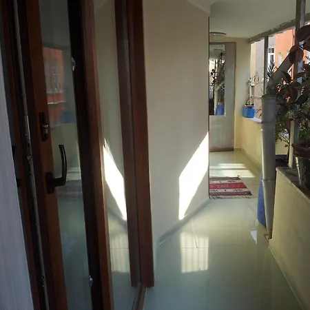 Nelly Guest house *