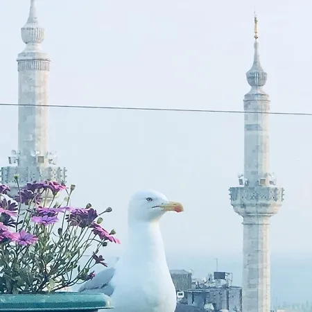 大华盛顿酒店