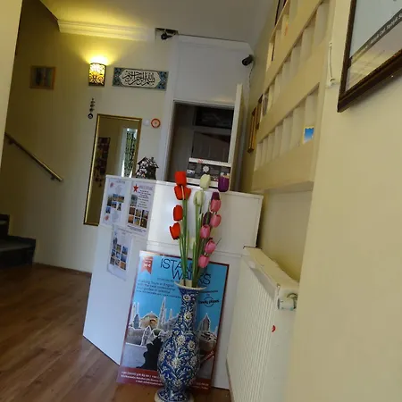 Tulip Гостевой дом 2*