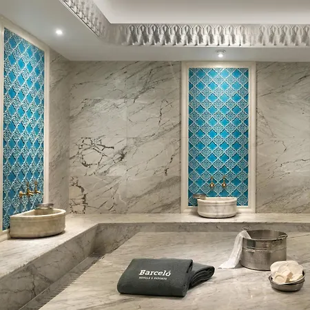 Barcelo Hotel Provincia di Istanbul