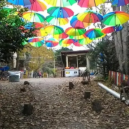 Fener Sweet Homestay Istanbul