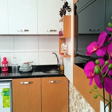 Grafen 3* اسطنبول