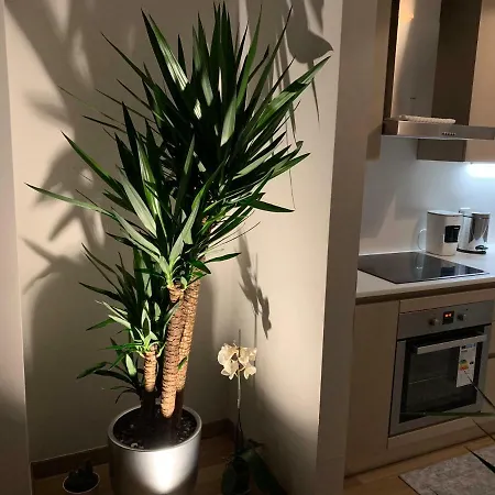 Apartment Agaoglu Maslak 1453 2+1 Penthouse Loft Istanbul