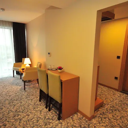 Osaka Airport Otel