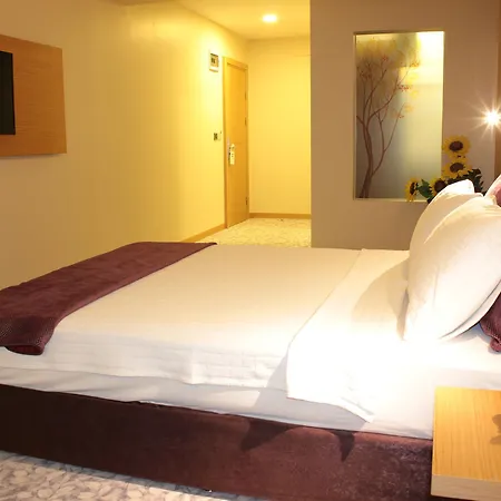 Osaka Airport Otel 3*