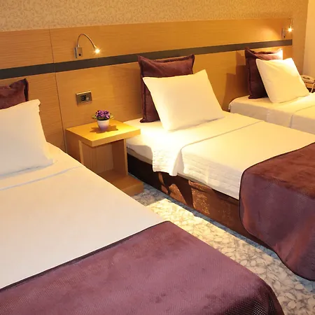 Otel Osaka Airport 3*