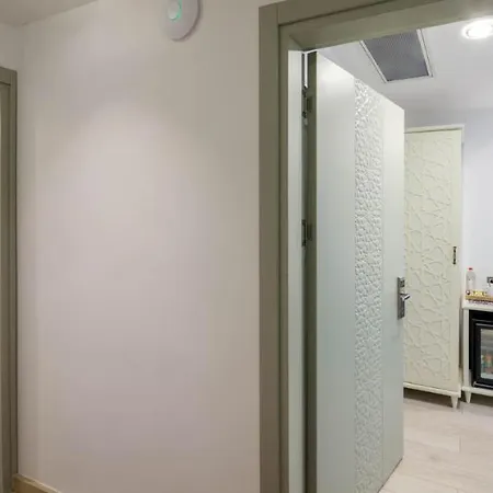 Obahan Hotel-special Class 3* Provincia di Istanbul