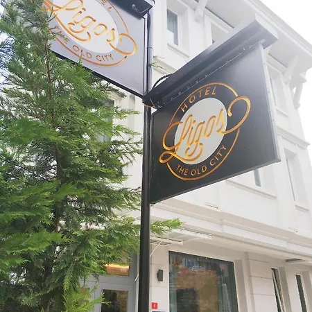 Ligos Istanbulská provincie